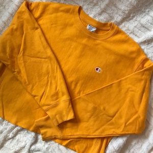 Reverse Weave Cropped Champion Jumper
